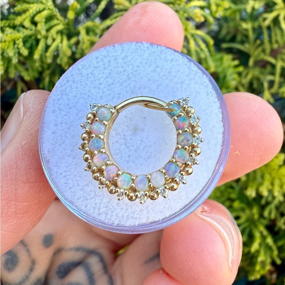 BVLA Horizon Clicker